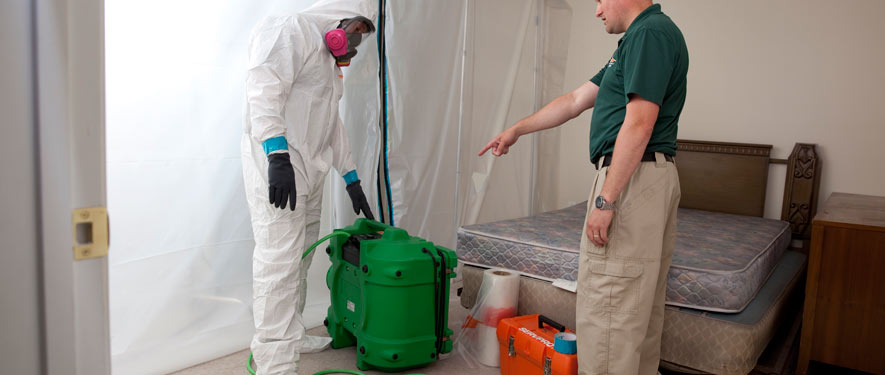 Casa Grande, AZ mold removal process